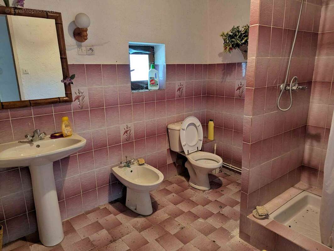 salle d\'eau avec WC à Taingy - Maison à SEMENTRON