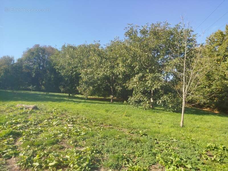 Maison à MELLIONNEC