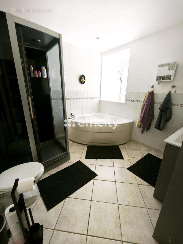 Maison 270 m² à Plestan  - photo 19