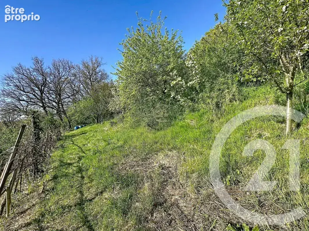 Terrain 973 m² à vendre à Givors (69700) - photo 3