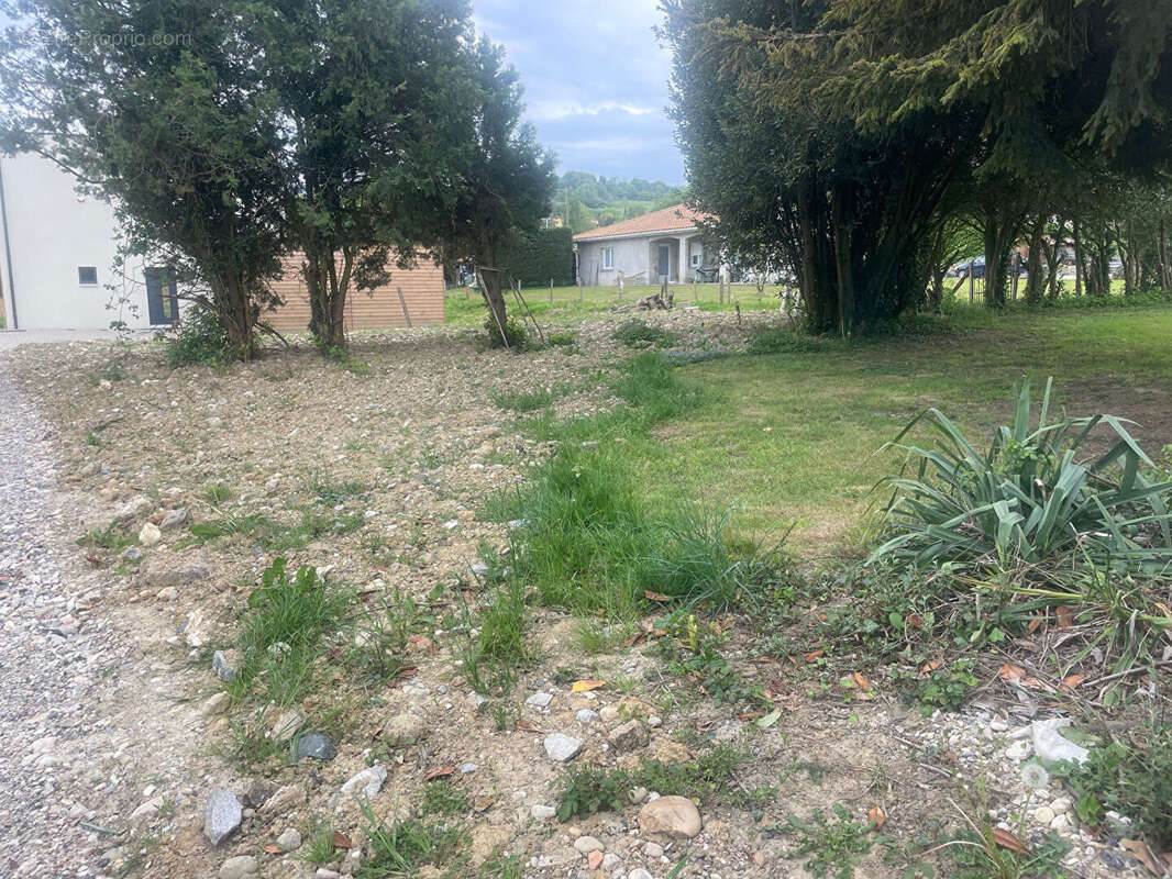 Terrain à SAINT-SORLIN-DE-VIENNE