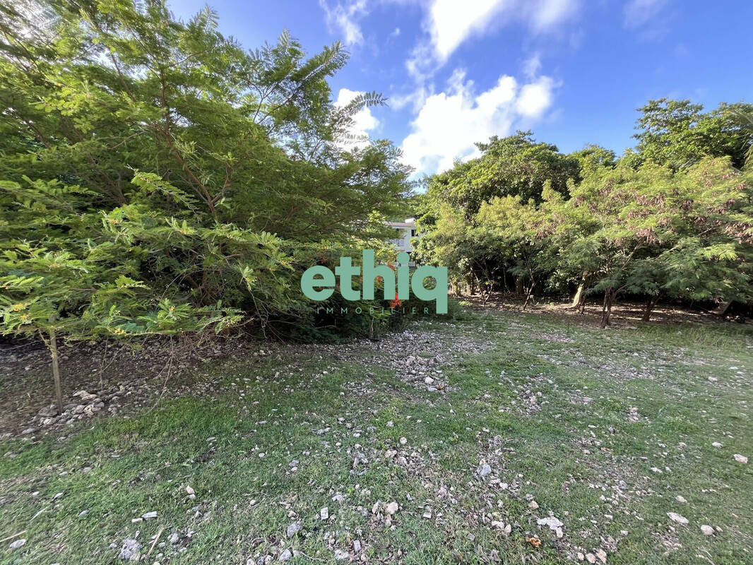Terrain à LE GOSIER