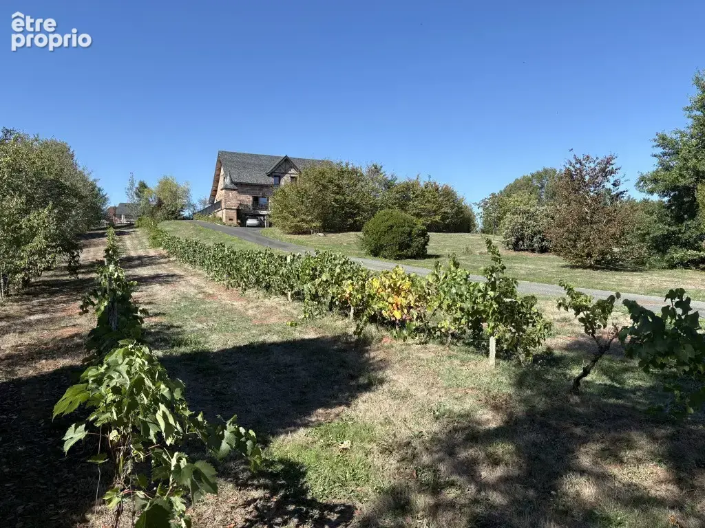 Maison en pierres avec grand terrain proche objat - photo 30