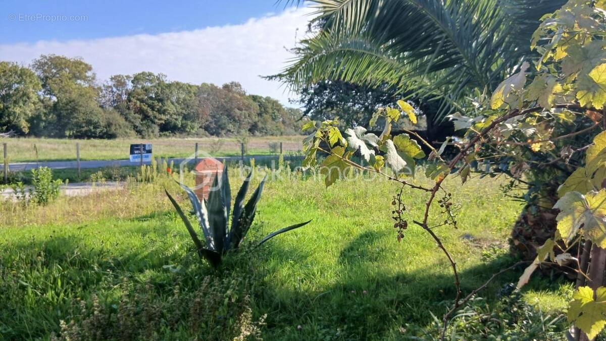 Terrain à SAINT-NAZAIRE