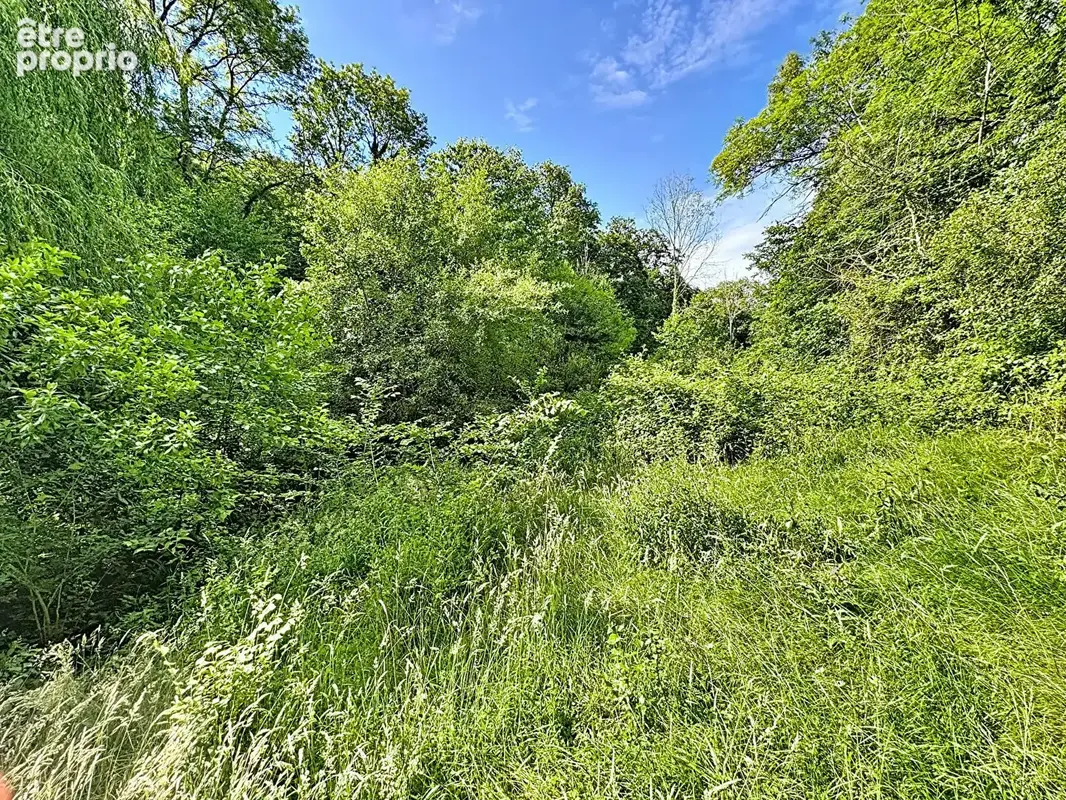 Exclusivite - cossesseville - terrain de loisirs - photo 3