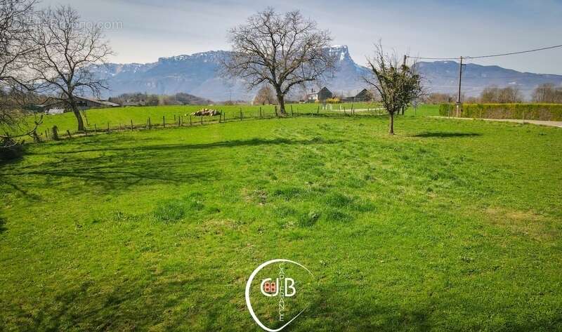 Planaise – Terrain constructible de 473 m² viabilisé - photo 14
