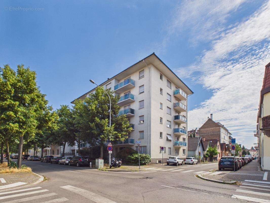 Rue de Bale - 4 pièces - 73m²- Coeur du Neudorf - Cave - Terrasse - photo 18