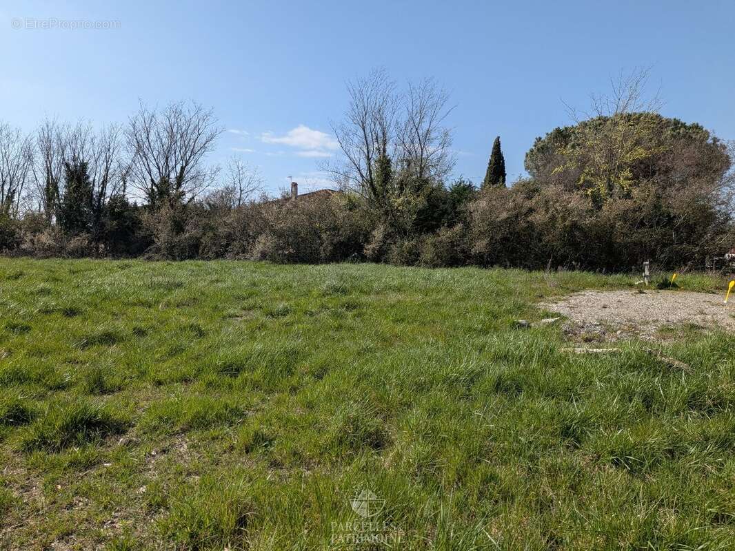 Terrain à MURET