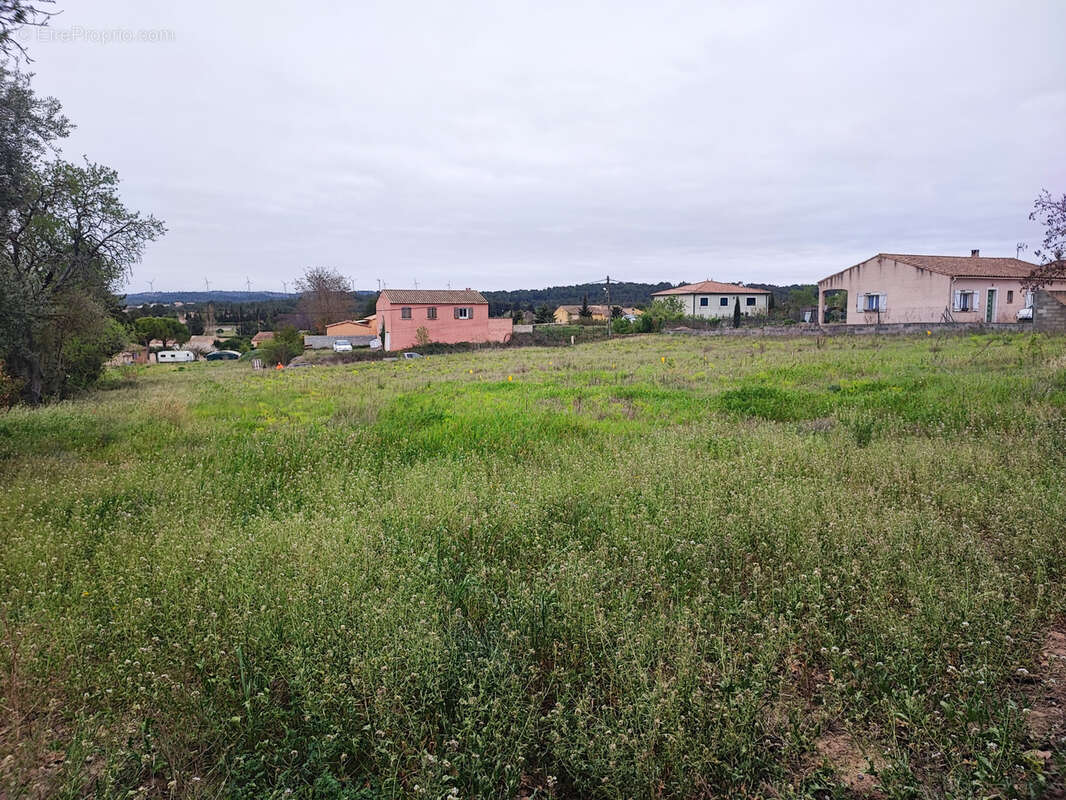 Terrain à CASTELNAU-D'AUDE