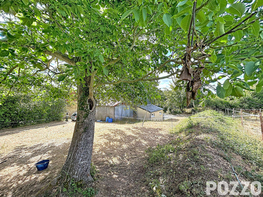MARIGNY - Propriété de charme de 90 m² habitable dans un écrin de verdure de plus de 9 000 m² - photo 11