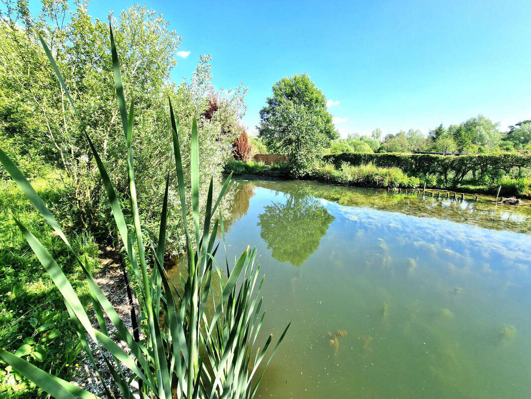 Photo 3 - Terrain à LA CALOTTERIE