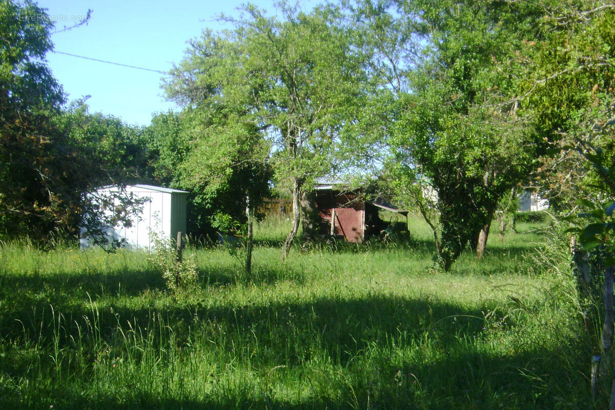 Terrain à OUZOUER-SUR-TREZEE