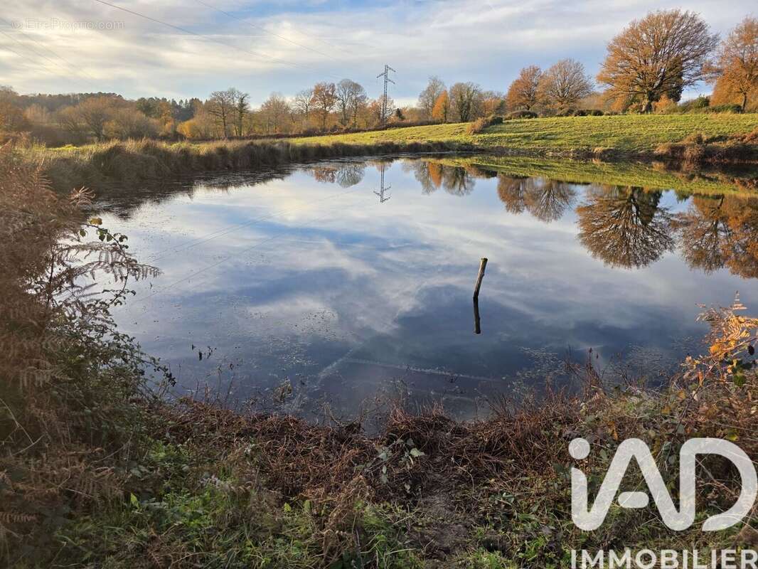 Photo 4 - Terrain à LE BUIS