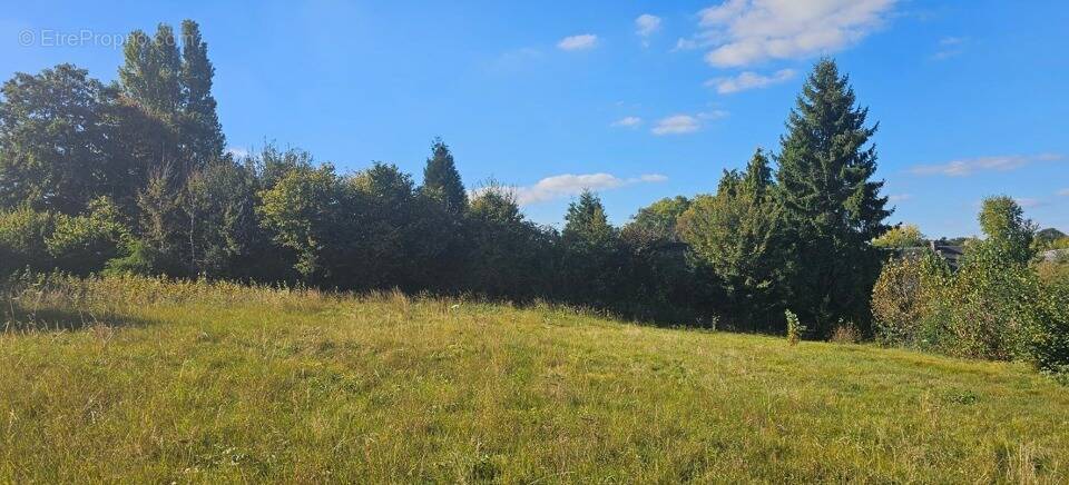 Terrain à SAINT-GEORGES-DU-VIEVRE