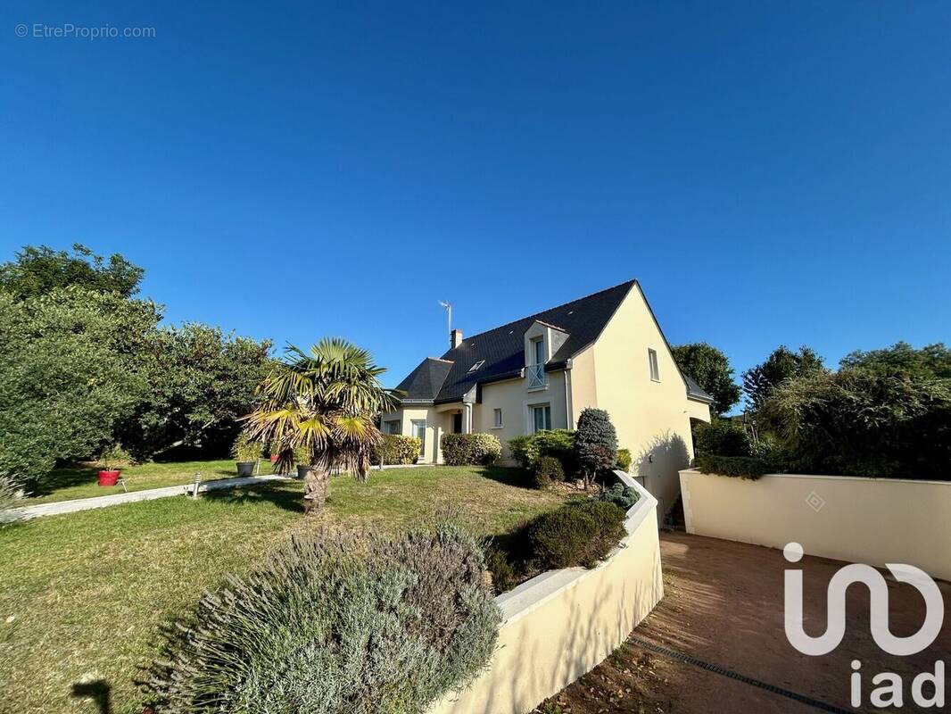 Photo 1 - Maison à NEUILLE