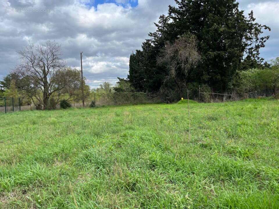 Terrain à MONTELIMAR