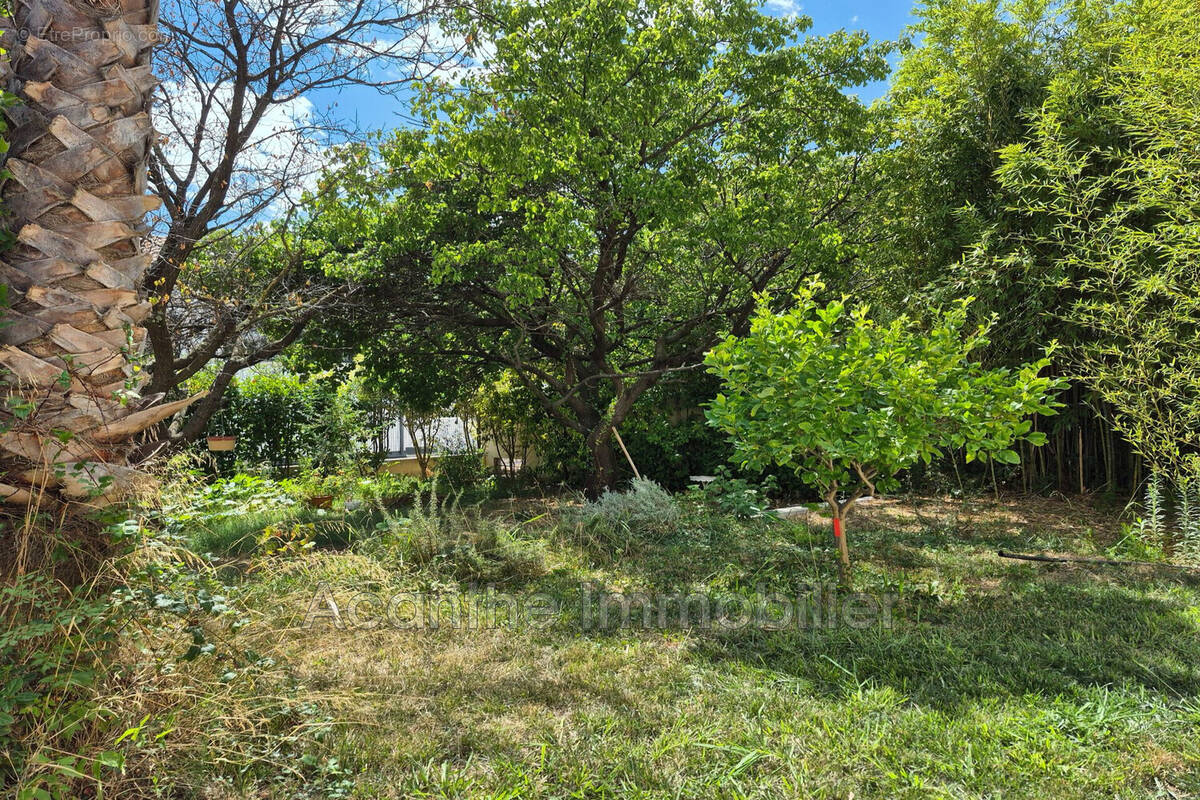 Maison 156 m² à Montpellier  - photo 2