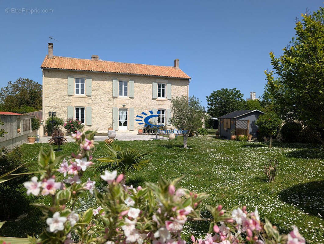 Maison charentaise courcon  278 m² habitable jardin - photo 15