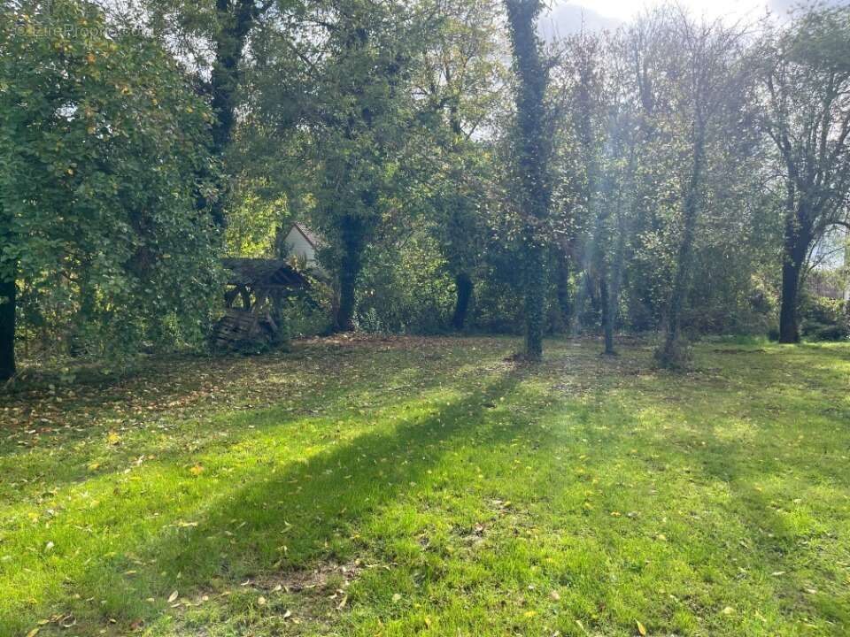 Terrain à MONS-BOUBERT