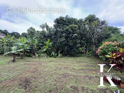 Terrain à LA TRINITE