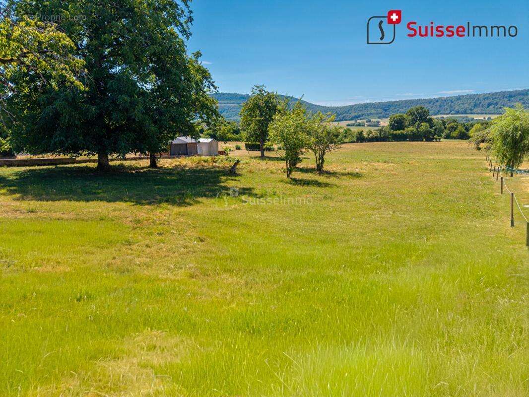Rare à la vente : parcelle viabilisée de 24 ares sans vis-à-vis - photo 7