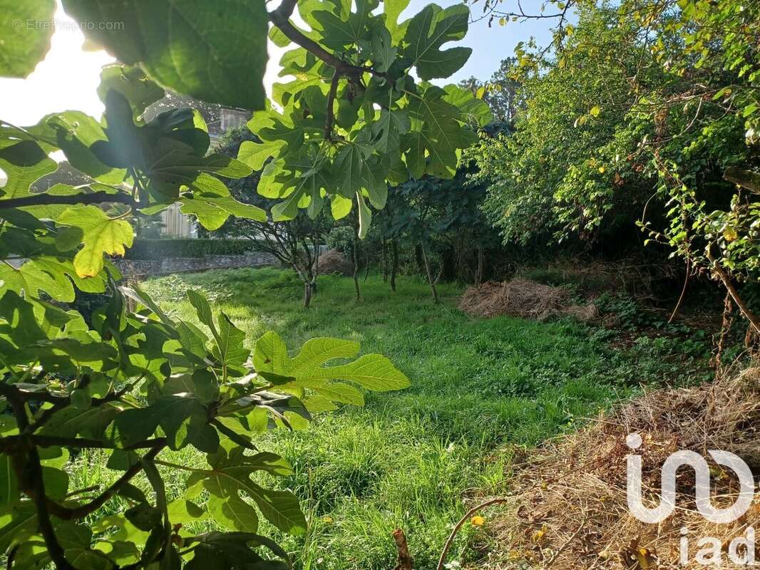 Photo 2 - Terrain à PUJOLS