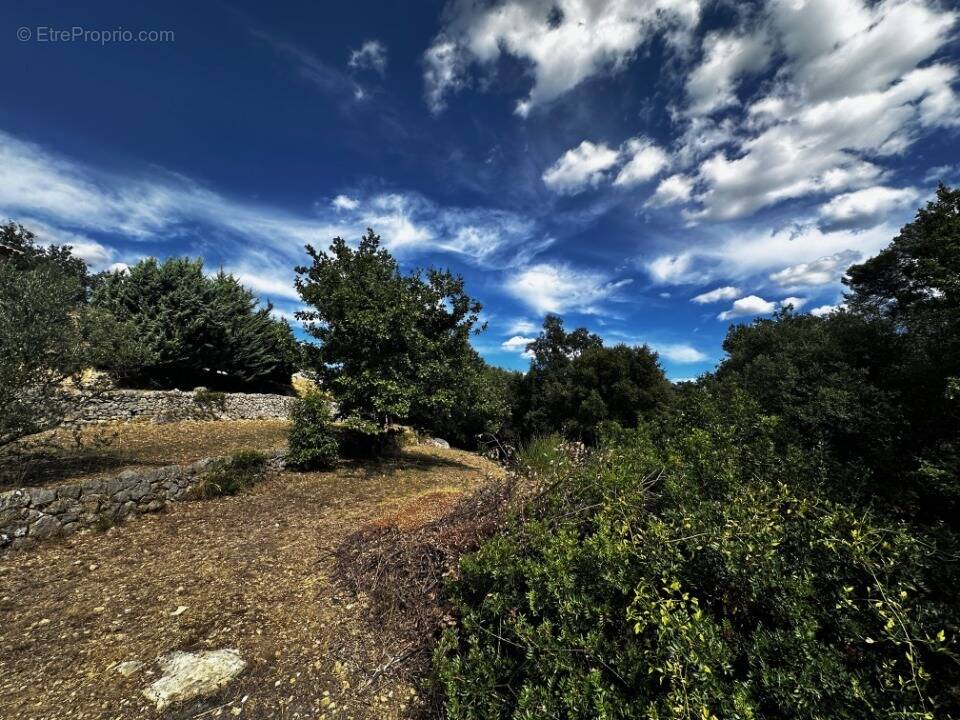Terrain à LORGUES