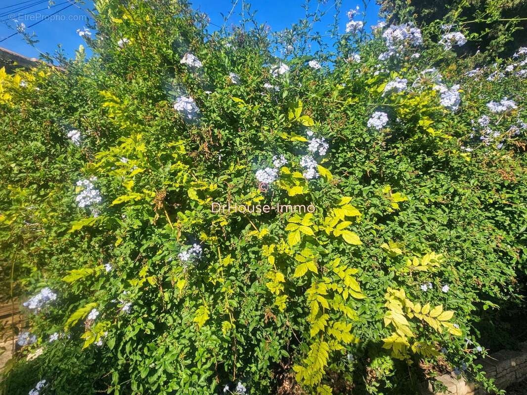 Maison à MARSEILLE-9E