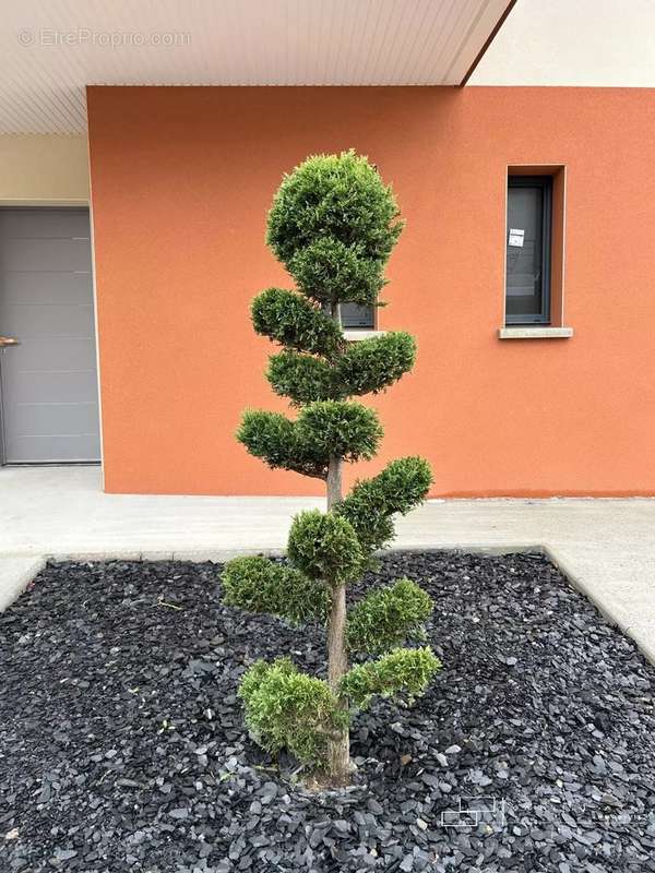 Maison à L&#039;ISLE-JOURDAIN