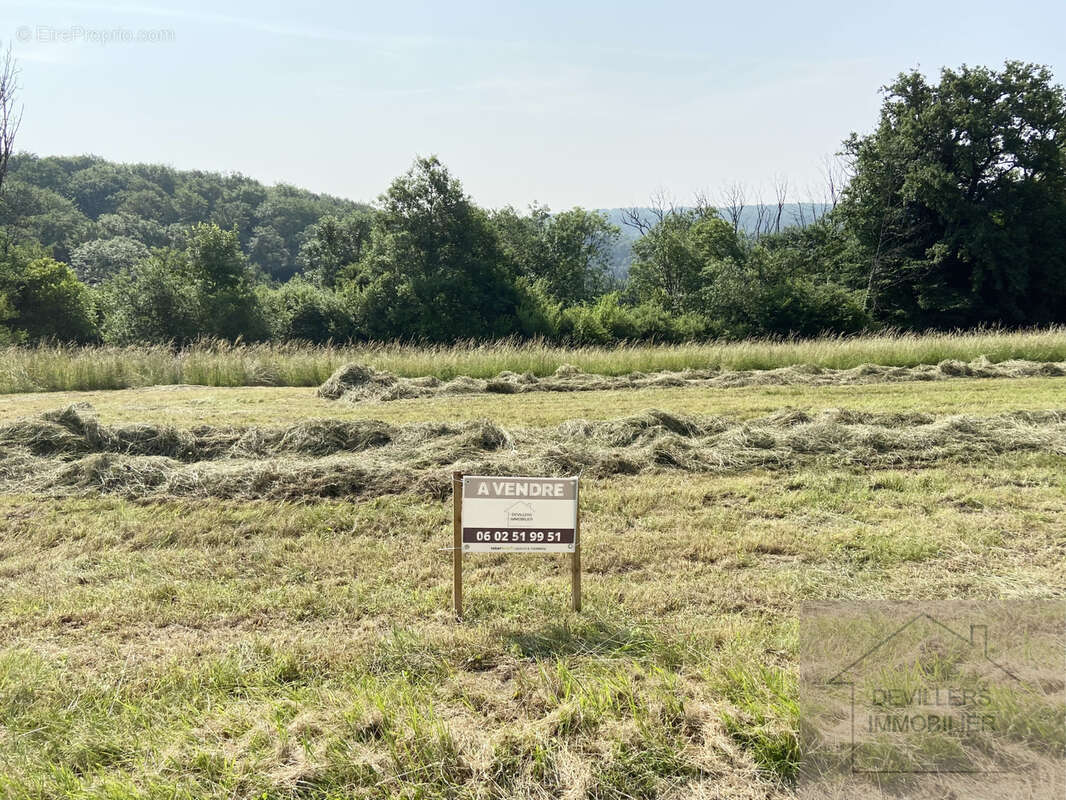 Grand terrain constructible - 12ares 55ca - bonnevaux le prieure - libre constructeur - photo 2