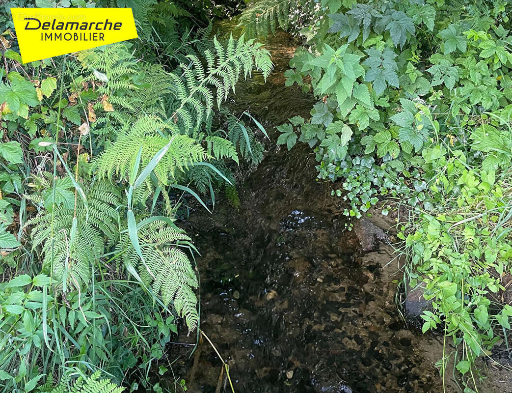 A VENDRE : Maison d'habitation en pierres en campagne avec terrain à Sainte Cécile - photo 16