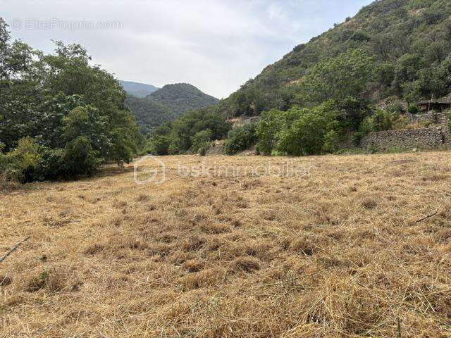 Terrain de 4495 m2 - photo 6