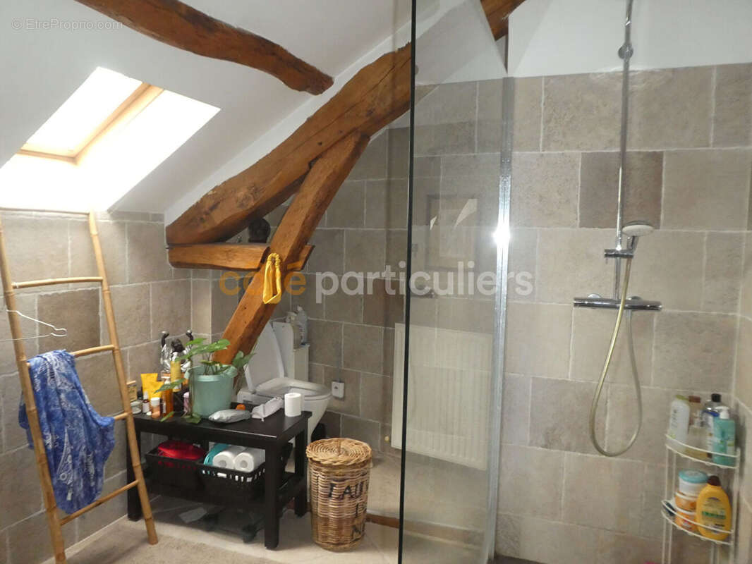 Ancien corps de ferme a 10mn de montargis et de nemours - photo 6
