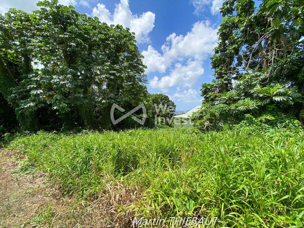 Terrain à LE LAMENTIN