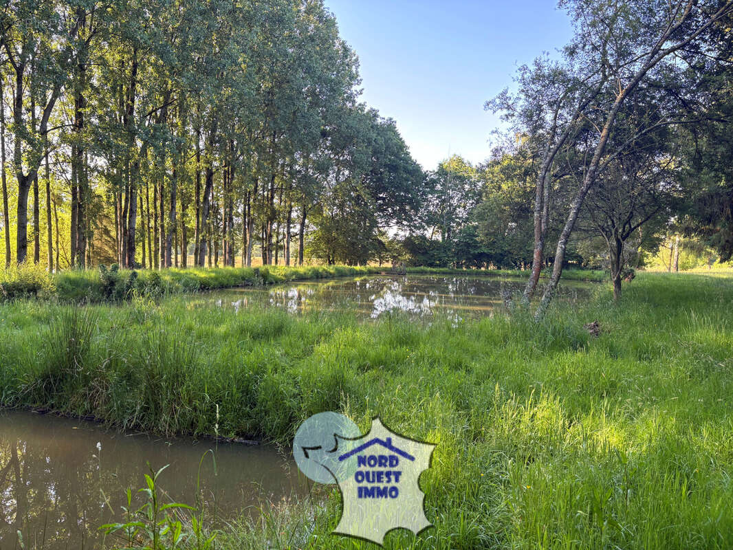 Terrain de loisirs avec plan d'eau - photo 9