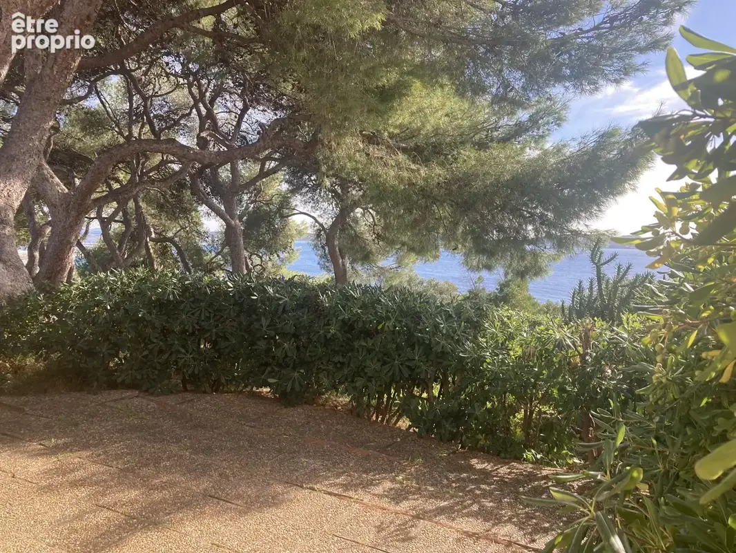 HYÈRES   ALMANARRE / COSTEBELLE T2 vue mer terrasse et jardin - photo 19