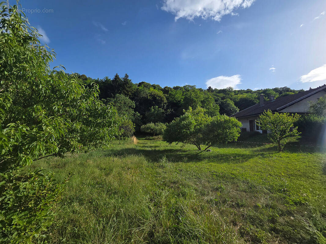 Terrain à BETTANT