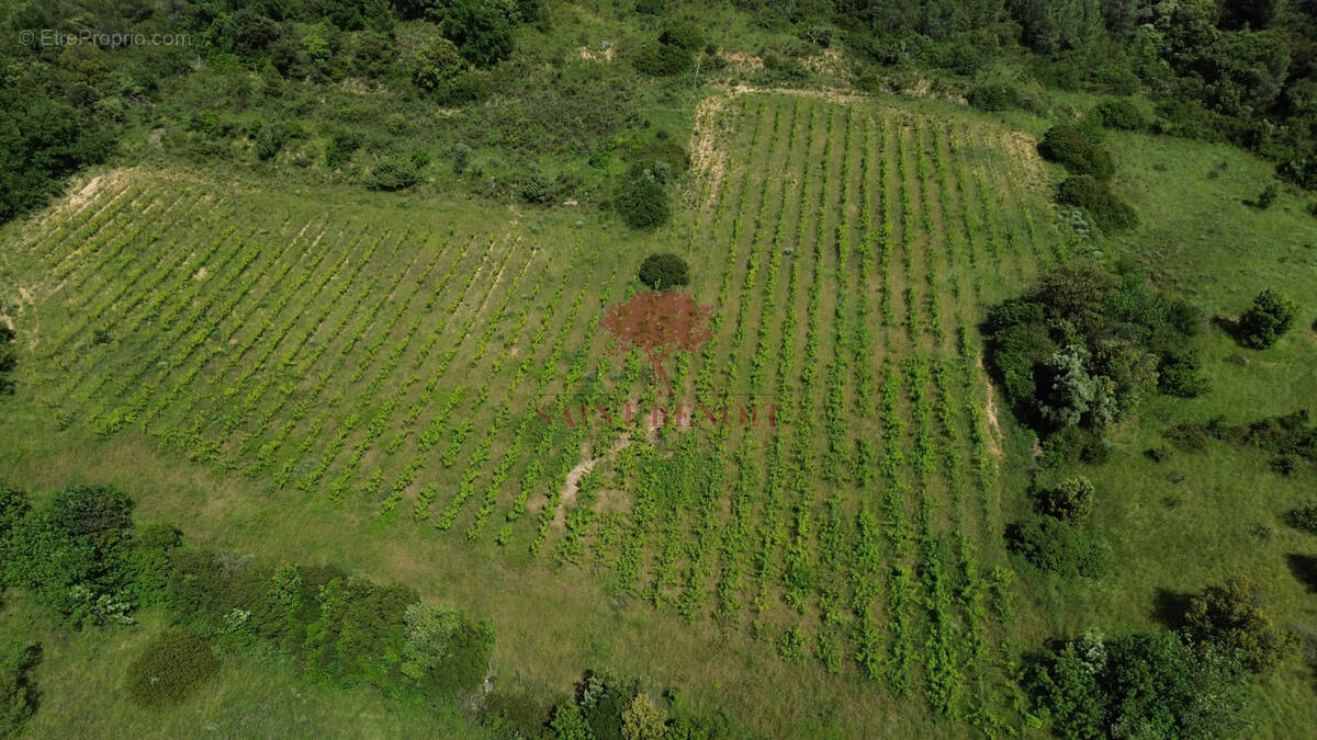 Terrain à PUECHABON