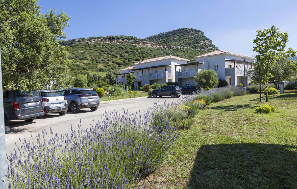 Appartement à OLETTA