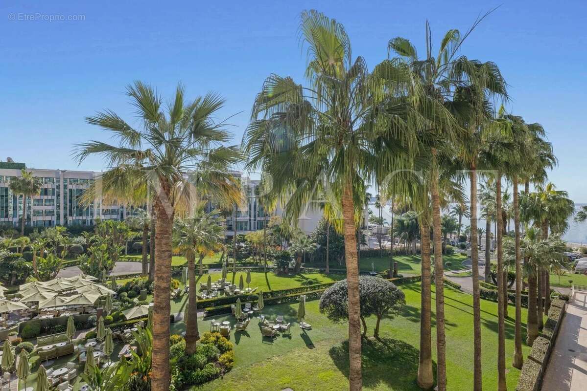Cannes Croisette Grand Hotel Appartement 4 Pièces vue mer à vendre - photo 2