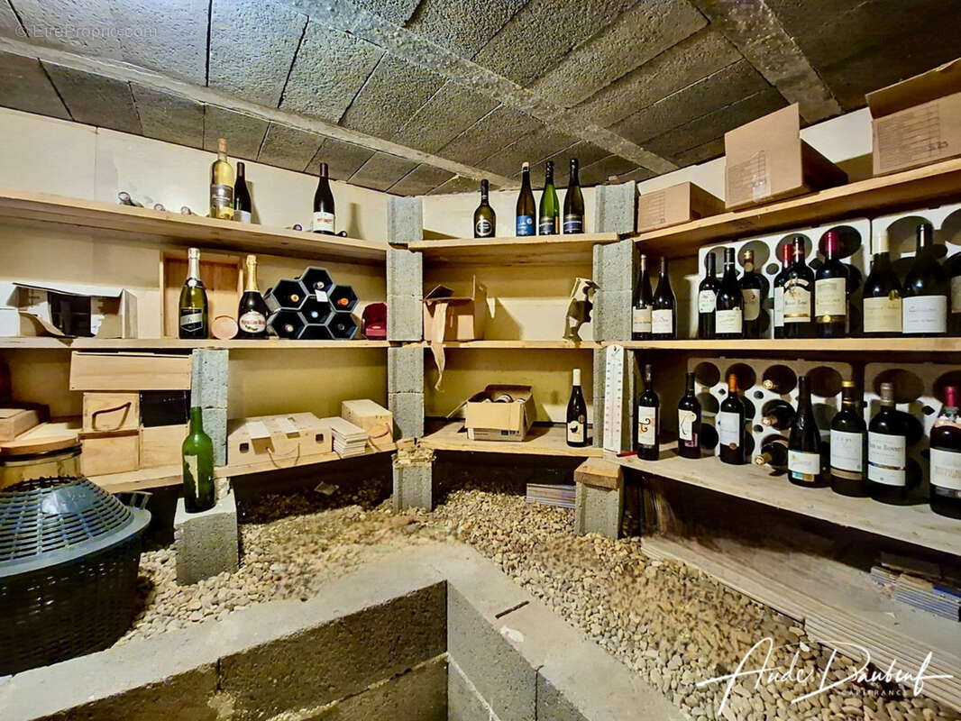 Aux portes de Genève - Maison familiale 4 chambres avec jardin, garage, abris voitures et annexes - photo 21
