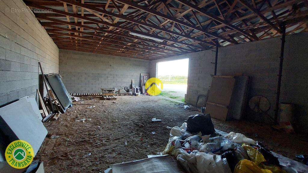 Commerce à RAVIERES