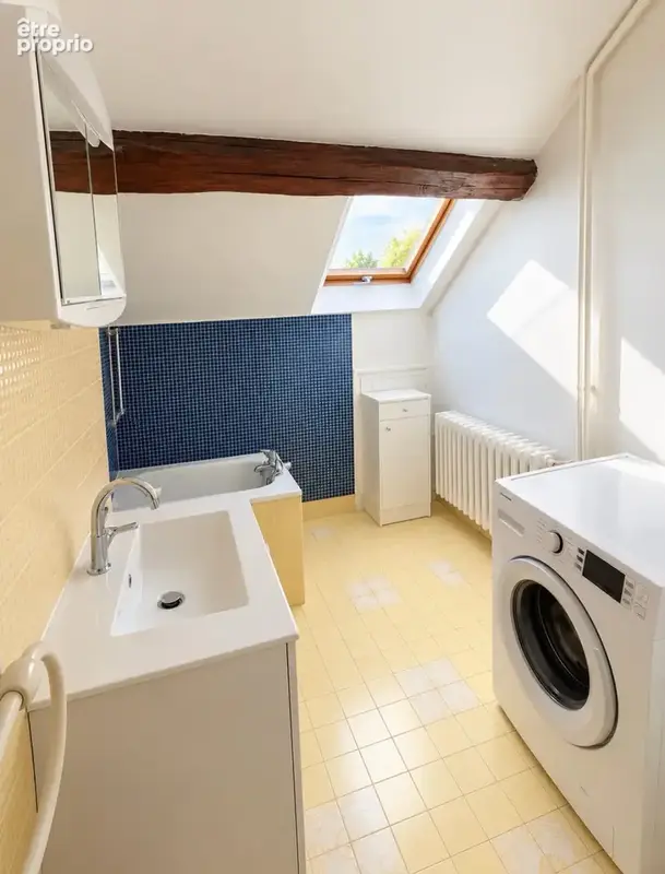 Propriétés de caractere- 300 m2 - au cozur du quartier historique de Bourbon Lancy - photo 19