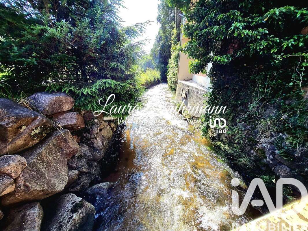 Photo 3 - Maison à LE BONHOMME