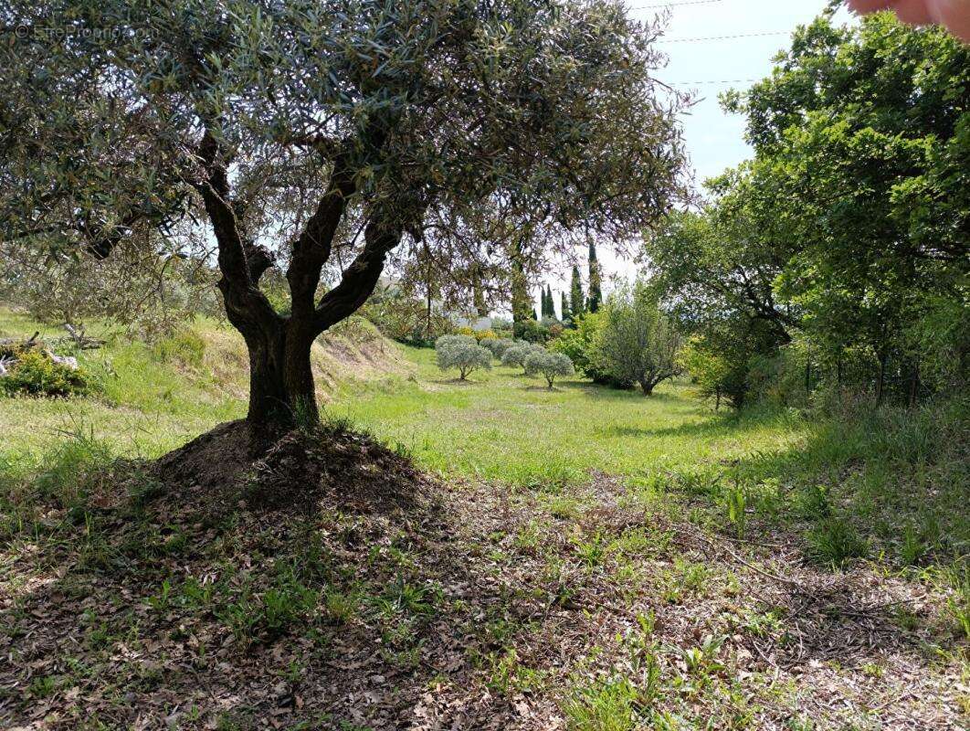 Terrain à MANOSQUE