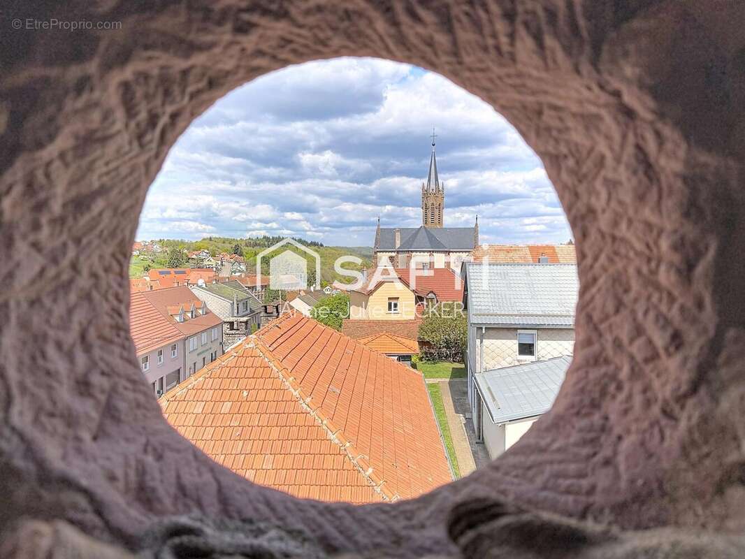 Photo 3 - Maison à GOETZENBRUCK