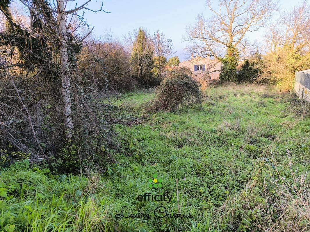 Terrain à TALMONT-SAINT-HILAIRE