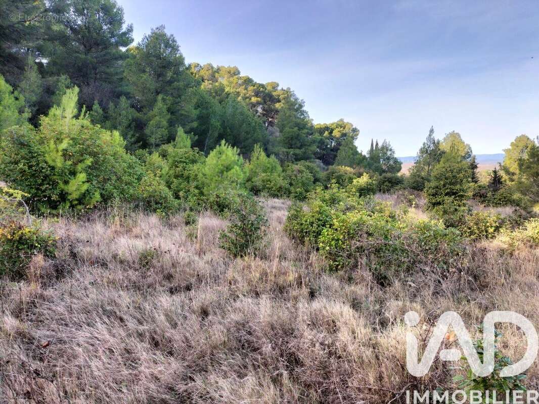 Photo 6 - Maison à NEVIAN