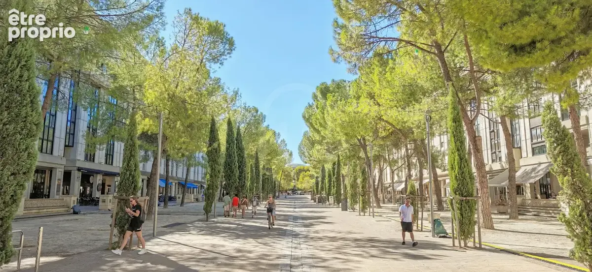 Appartement à MONTPELLIER