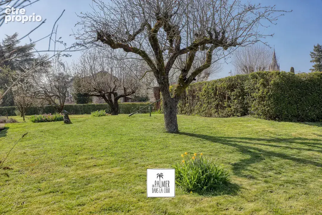 Terrain 998 m² à vendre à Saint-Didier-Au-Mont-D'or (69370) - photo 4